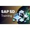 Is SAP SD a Good Career Option?