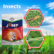Bayer Jump Insecticide: How To Use?