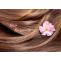 Buy Kasturi Oil for Hair Regrowth - Shridhar Kasturi Oil