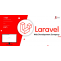 Laravel Web Development Company