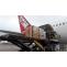 LATAM Cargo Brazil flies 2 bears to new home in São Paulo - ACAAI NEWS