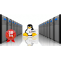 Buy Linux Reseller Hosting In India @ Affordable Price | Intouch