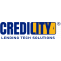 How does digital credit work? 