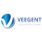 Digital Marketing Services Provider in Pune  - Veegent Technologies