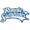 Bsa R10 Air Rifle Kit Walnut | Combo Gun | Ronnie Sunshines