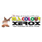 Mega Colour Xerox Chennai|Invitation Id Visiting Cards|Flyers