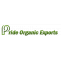coconut oil exporters in india|Pride Organic 