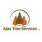 Tree Removal Service  | Tree Care Service | Pickering| Ajax | Whitby | Oshawa ON