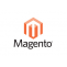 Magento eCommerce Development Services 