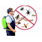 Chandigarh Pest Control | +919888994994