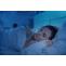   How Best to Avoid Period Leakage During Nighttime? | Sofy