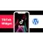 Most Fruitful Ways To Embed TikTok Widget On WordPress Website