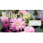 Mothers Day Online Flower Delivery to Sharjah &amp; Ajman - UAE