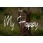 My Happy Font Free Download OTF TTF | DLFreeFont