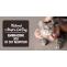 National Adopt a Cat Month : Embracing Joy of Cat Adoption - CanadaVetExpress - Pet Care Tips