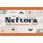 Neftora Font Free Download Similar | FreeFontify