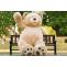 #10 Reasons Why You Should Buy A Giant Teddy Bear? - Giant Teddy Bear - Boo Bear Factory