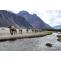 Nubra Valley: A Camping Hotspot for Adventure Seekers