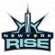 pro women's fastpitch softball team new york