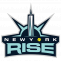 women's professional fastpitch softball teams new york