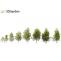 3Ds Max Plants, Tree 3D Models Free Download