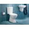 How to Find the Right Bidet Toilet Combo  