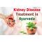Kidney Treatment in Ayurveda – A Prevention for Failure - kidney treatment in ayurveda