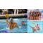 Olympic Paris: Johnny Hooper is keeping Water Polo at Paris 2024 on his bucket list - Rugby World Cup Tickets | Olympics Tickets | British Open Tickets | Ryder Cup Tickets | Anthony Joshua Vs Jermaine Franklin Tickets