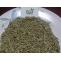 Fennel Seeds|PMIP