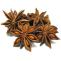 Star Anise Seeds|PMIP