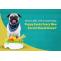what-are-the-essential-puppy-foods-every-new-parent-should-know