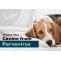 Protect Your Canine from Deadly Parvovirus
