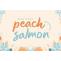 Peach Salmon Font Free Download OTF TTF | DLFreeFont