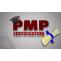best pmp training online