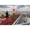 Capture Moments of Your Private Paris Proposal