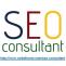 SEO Consultant: Top Google Ranking by Best SEO Consultants in India