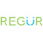 Regur Technology Solutions - Reliable &amp; Innovative Web Development