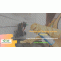 Residential Cleaning Services Near Me - Gifyu