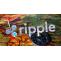 Đột Phá Bảo Mật Mới Nhất Của Ripple • Blog Tiền Số