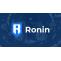 Ronin Tích Hợp Binance Pay Vào Ví Trong Bối Cảnh Pixel Bùng Nổ