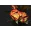 7 Amazing Rose Petals Uses You Didn’t Know About - SPEORA LIFE
