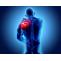 Rotator Cuff Injury - Symptoms, Causes and Treatment | ZENITH