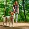 Pet Shop in Lucknow | Pet store in Lucknow - LaPet India