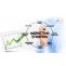Marketing Consulting Market 2019 Top Consulting Firms, Key Strategies by (Deloitte Consulting, KPMG, PwC, EY, McKinsey, Booz Allen Hamilton, The Boston Consulting, Bain) Demand and Growth Opportunities by 2025 - openPR
