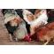 Poultry Feed Premix Market 2019 The Emerging Model For Animal Nutrition | Leading Manufactures: ADM, Cargill, BASF SE, DSM, WATTAgNet, Champrix, Prince Agri, Advanced Biological Concepts, Kalmbach Feeds, Lek Veterina, Cargill Feed, KEBS - openPR