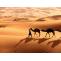 10 Amazing Sahara Desert Images - Fontica Blog