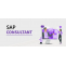 SAP Certified Consultant