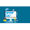 SAP Developer