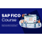What Does the SAP FICO Training Course Teach You?