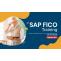 Significant Features of SAP FICO 
